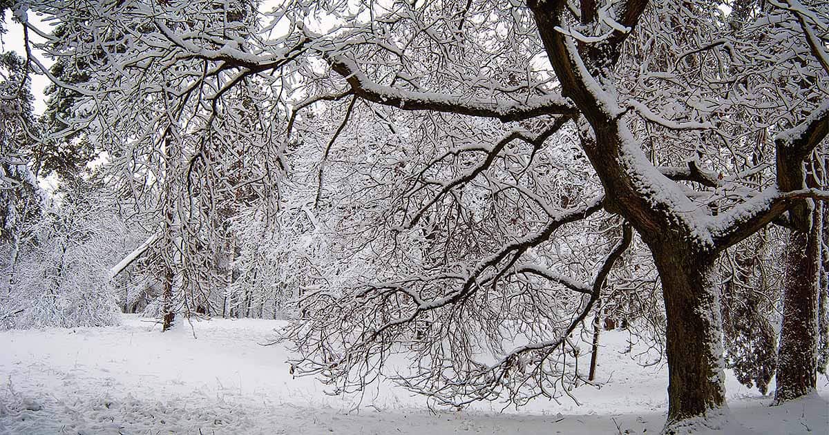 How to maintain your epoxy floor in the Winter months 